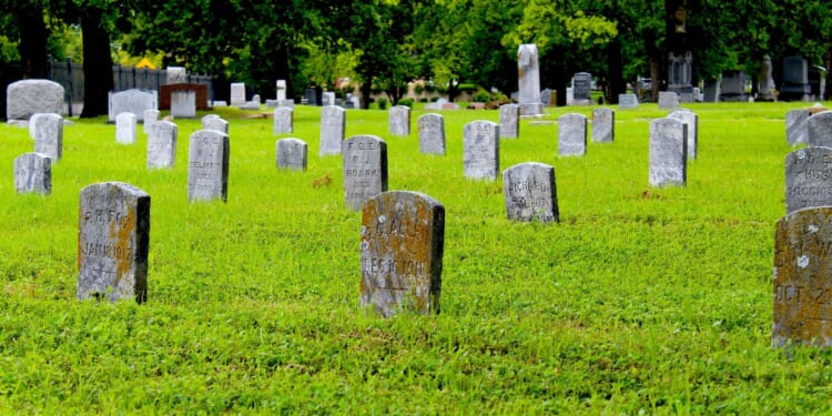 Try Running Over a Cop and You'll Be Planting Flowers From Six Feet Under [WATCH]