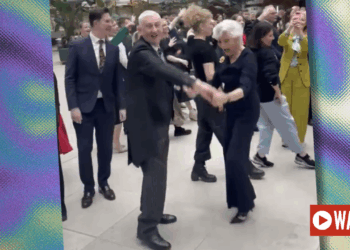 WATCH: MPs on £98,599 Take Mass Dance Class While Middle East Breaks Out Into War