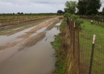 Water Woes Endgame? CEO Urges Trump-Newsom Alliance For California’s Thirsty Valley