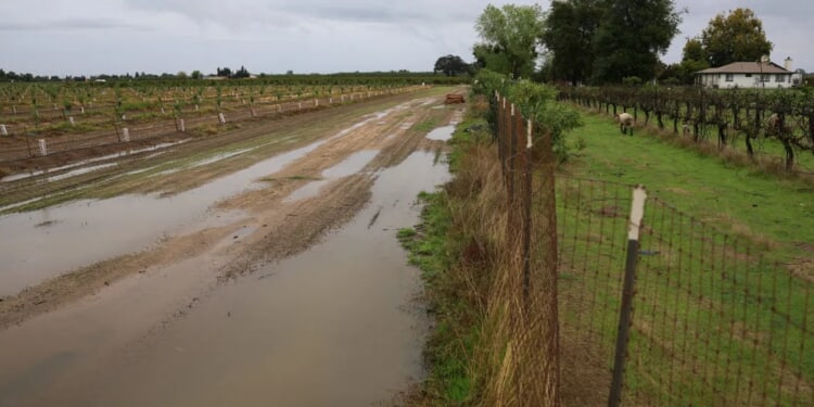 Water Woes Endgame? CEO Urges Trump-Newsom Alliance For California’s Thirsty Valley