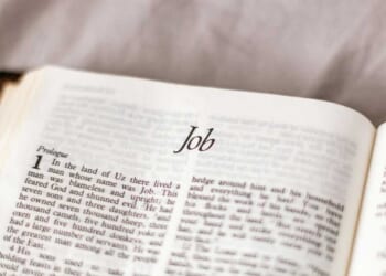 Sincerely Media/Unsplash