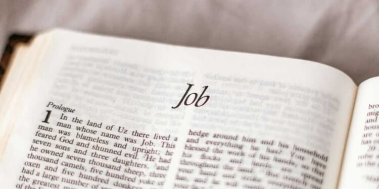 Sincerely Media/Unsplash