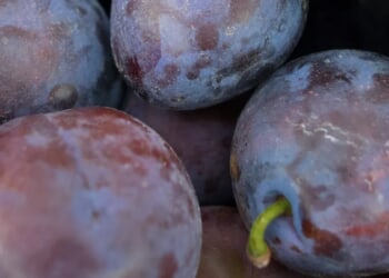 ‘My Plums Were Bright Purple’: Kickboxer Pulls Vehicle With Testicles In Promotion Of Men’s Mental Health