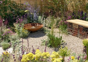 5 questions about gravel gardens