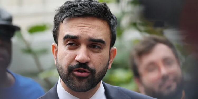 Mamdani’s Parks Department Reportedly Pushing Racism Training As Parks Deteriorate, Face $33 Million Budget Cut