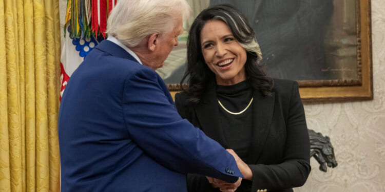 White House Rejects Report Claiming Trump Considering Firing Tulsi Gabbard