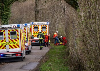 3 killed as high winds topple a tree on an Easter egg hunt in Germany