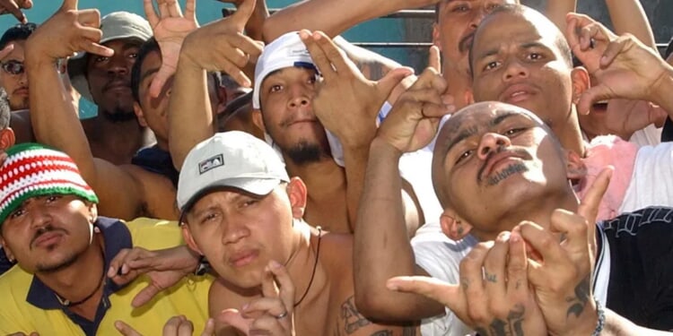 Journalists Ask The Worst Questions: Are You A Criminal?