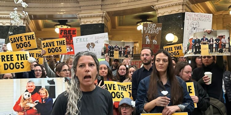 Animal welfare protesters converge on Wisconsin governor’s office seeking release of beagles
