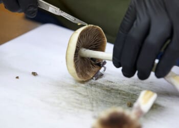 5 questions about the FDA’s fast-track push for psychedelic treatments