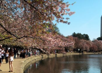 Tidal Basin fully reopens with restoration of seawalls and walkways