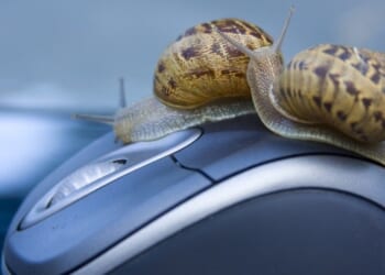 Andrew Gilligan: It's time to stop the endless 'consultation' merry-go-round, and do things quicker than snail's pace