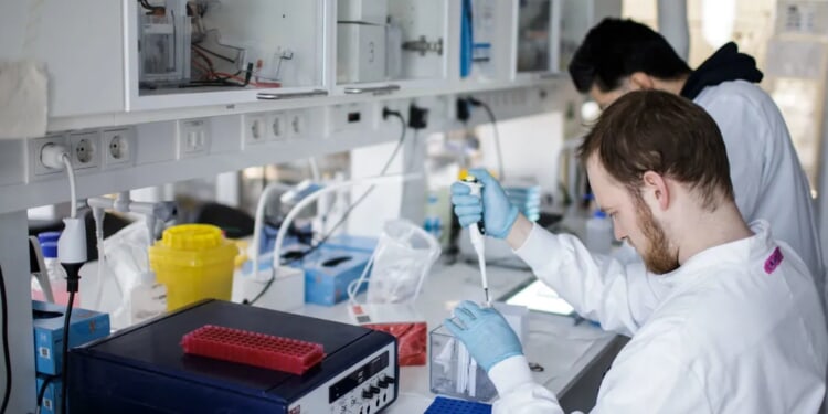 Authorities Review Death Of 11th Scientist