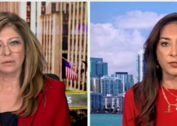 DOJ’s Harmeet Dhillon Details Just How Much A ‘Mess’ Voter Rolls Are