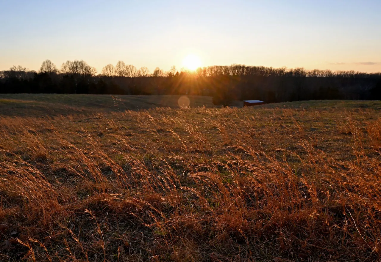 Photo by EVA HAMBACH/AFP via Getty Images