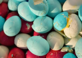 Family Stumbles Upon Human Skull During Local Easter Egg Hunt, Police Say