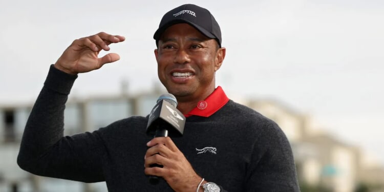 Golf Trophies From Tiger Woods’ Childhood Sell For $52,995 At Auction