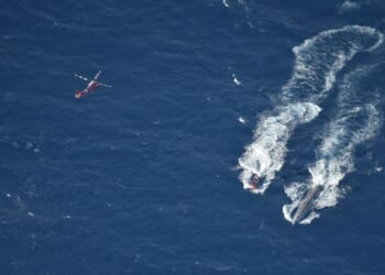 How Operation Southern Spear pushed drug cartels into the jellyfish business