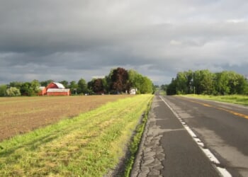 JORGE MARTINEZ: The Swamp’s War On Rural America And Trump’s Fight To End It