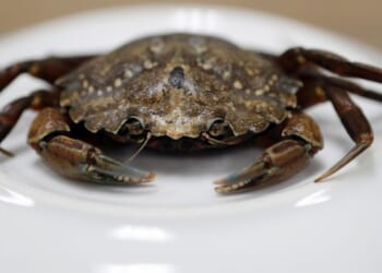 Jimmy’s Famous Seafood Plays Hardball on X – Twitchy
