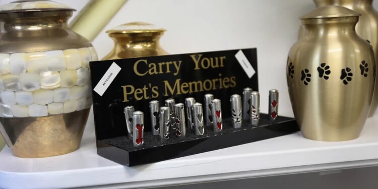 Judge Sentences Pet Crematorium Owner To 20 Years In Jail For Duping Owners