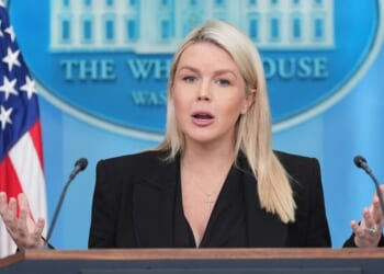 Karoline Leavitt Says Dems Have Spent YEARS Inspiring Violence and This Thread Has the Receipts – Twitchy