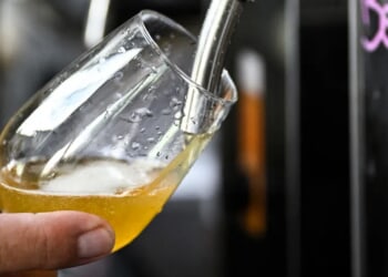 LEIF LARSON: A Beer, A Grill, And Guidelines That Finally Make Sense