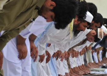 Migrants So Badly Don’t Want To Be Called Gay They Willingly Blew Up Entire Scheme