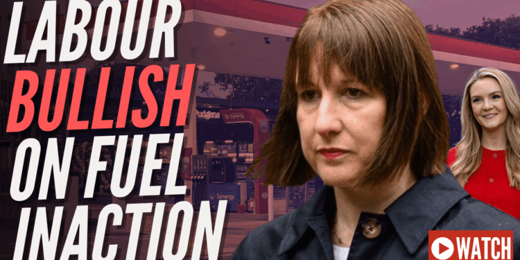 No Action on Fuel Because ‘Our Situation Is Different' – Guido Fawkes