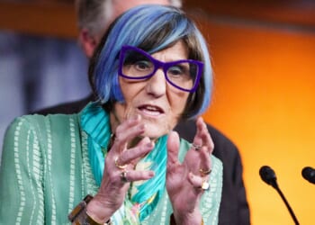 Purple Haired Democrat Climate Cultist Melts Down, Gets Schooled by EPA's Lee Zeldin [WATCH]