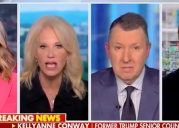 Schlock And Awe: Kellyanne Conway Drops Dumbest 11-Word Talking Point Ever Heard On Fox News