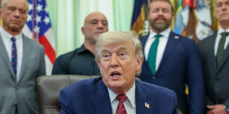 Trump Signs Executive Order Speeding Up Research On Using Psychedelics For Mental Health