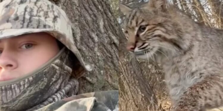 Wisconsin Teen Mauled by Bobcat During Turkey Hunt, Captures the Attack on Video [WATCH]