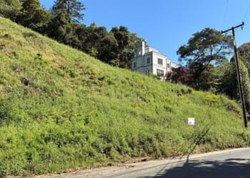 Oakland couple fined $900,000 for cutting down 38 trees without a permit