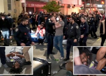 Mob Chaos Erupts at Brooklyn Hospital as Anti-ICE Activists Clash With Police in Violent Stand-Off [WATCH]