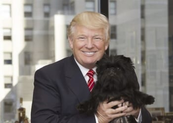 Poodles and Bullet-Proof Vests? President Trump's Got Jokes – Twitchy