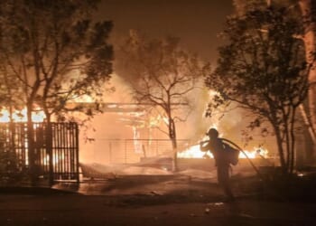 Why So Many Political Pyromaniacs, Assassins, and Other Scary Types? | The American Spectator