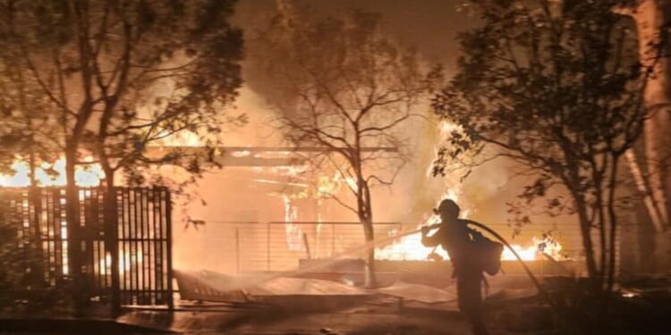 Why So Many Political Pyromaniacs, Assassins, and Other Scary Types? | The American Spectator